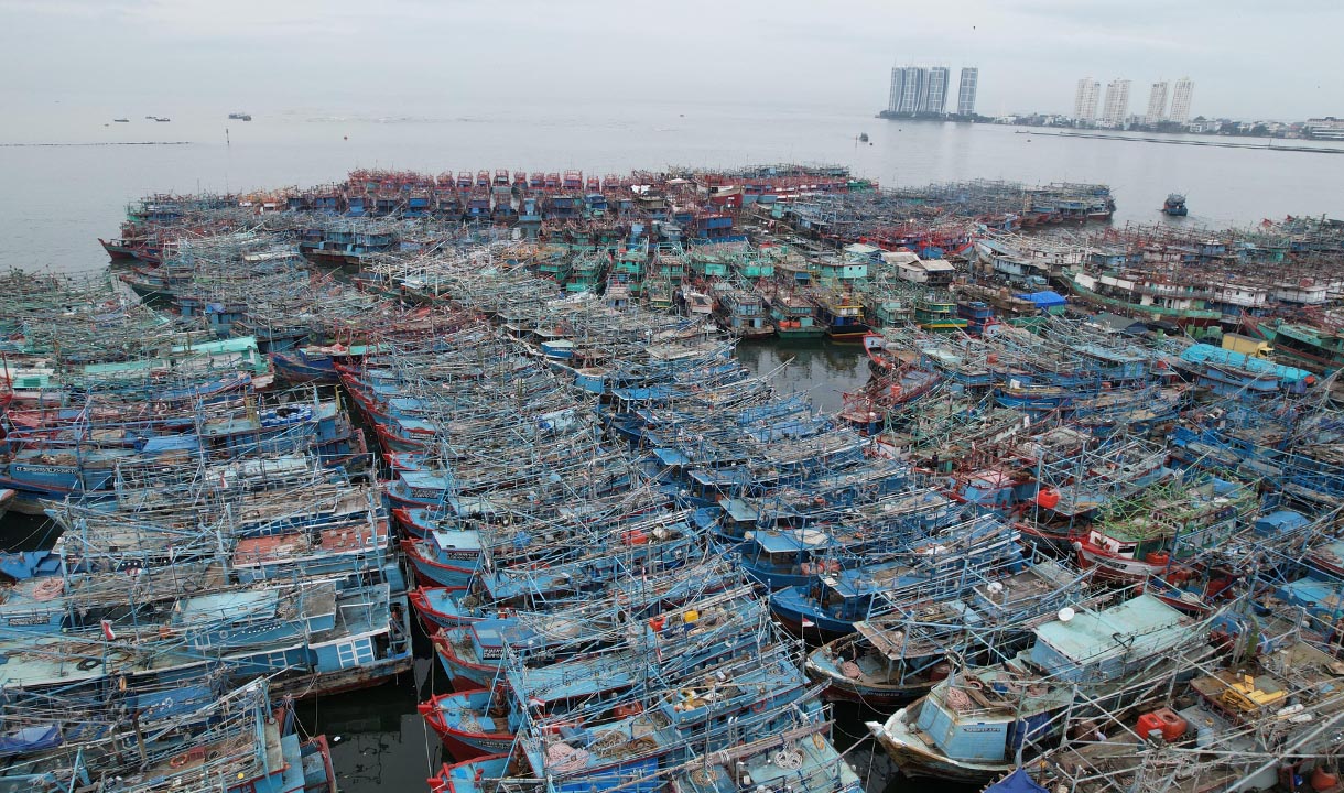 Kapal Membludak di Muara Angke, Pemprov DKI Siapkan Langkah Perluasan