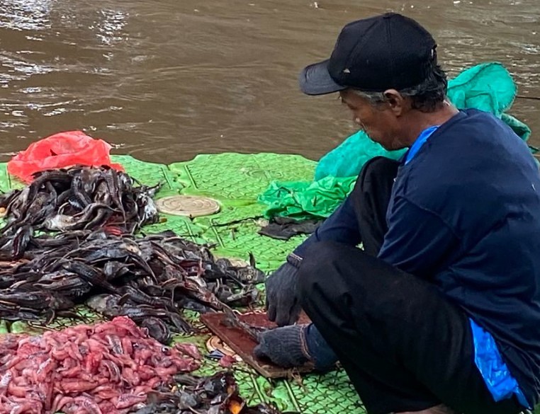 Berisiko bagi Kesehatan, Pemprov DKI Imbau Warga Tak Konsumsi Ikan Sapu-sapu dari Ciliwung