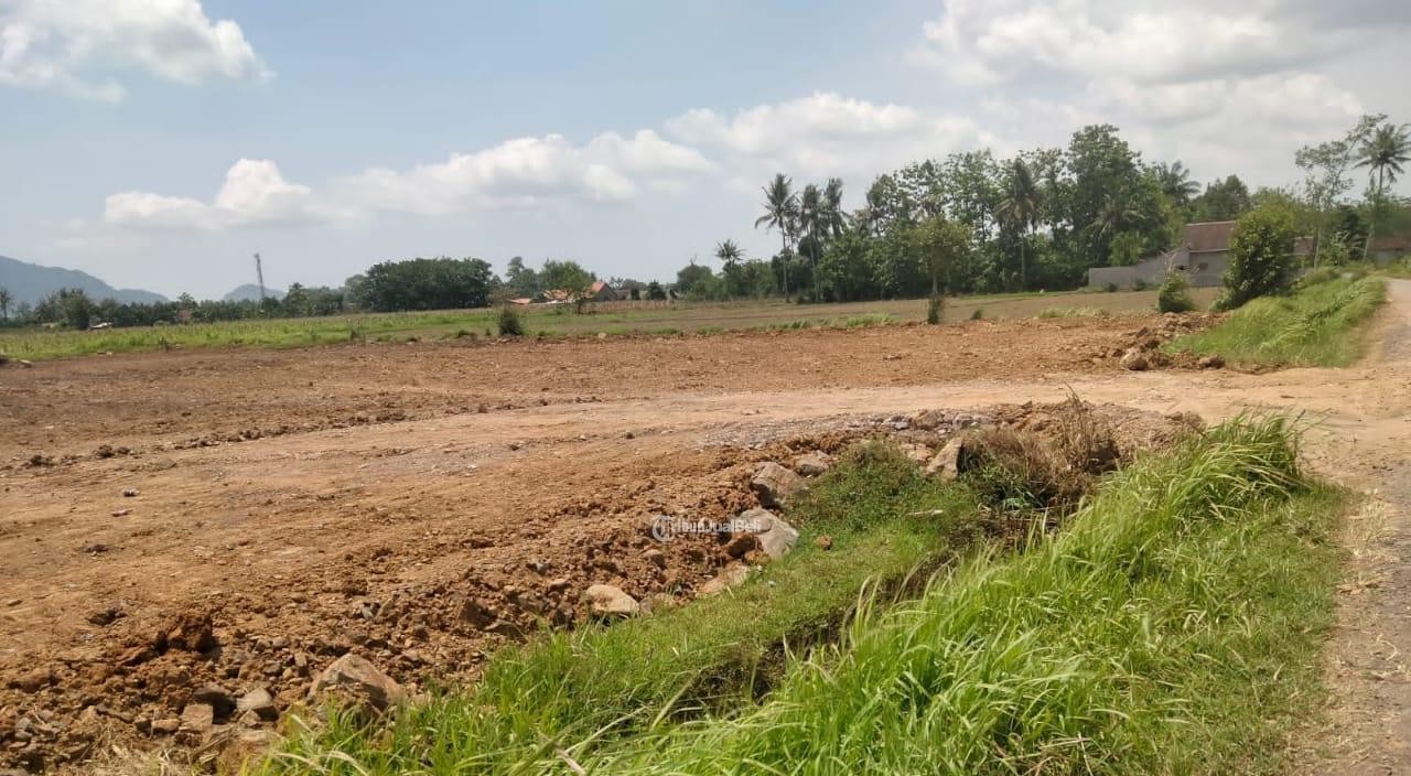 “Aturan Terbit: Tanah Terlantar Kini Bisa Disita Negara”