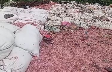 Heboh Temuan Cacahan Kertas Mirip Uang Pecahan di TPS Liar Bekasi