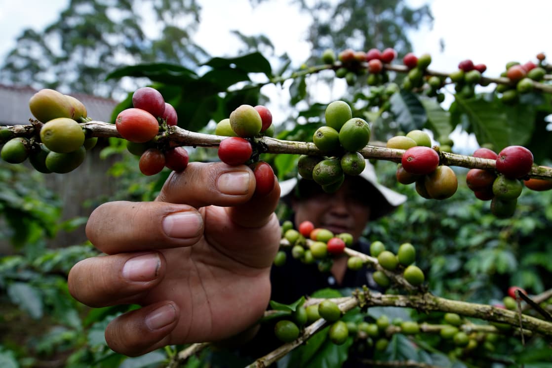 Dukungan Jamkrindo Untuk UMKM Naik Kelas